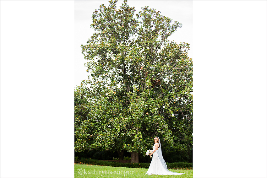 Bridal portrait in front of tall tree.