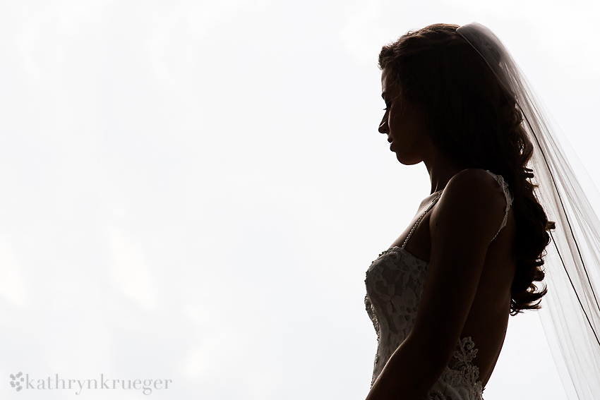 Bridal portrait silouetted against sky.