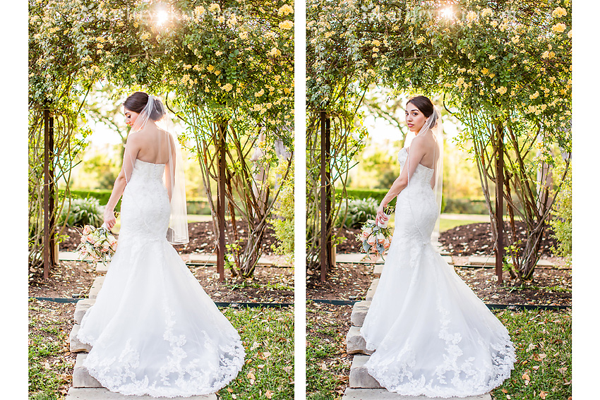 Bridal portrait standing under rose archway.