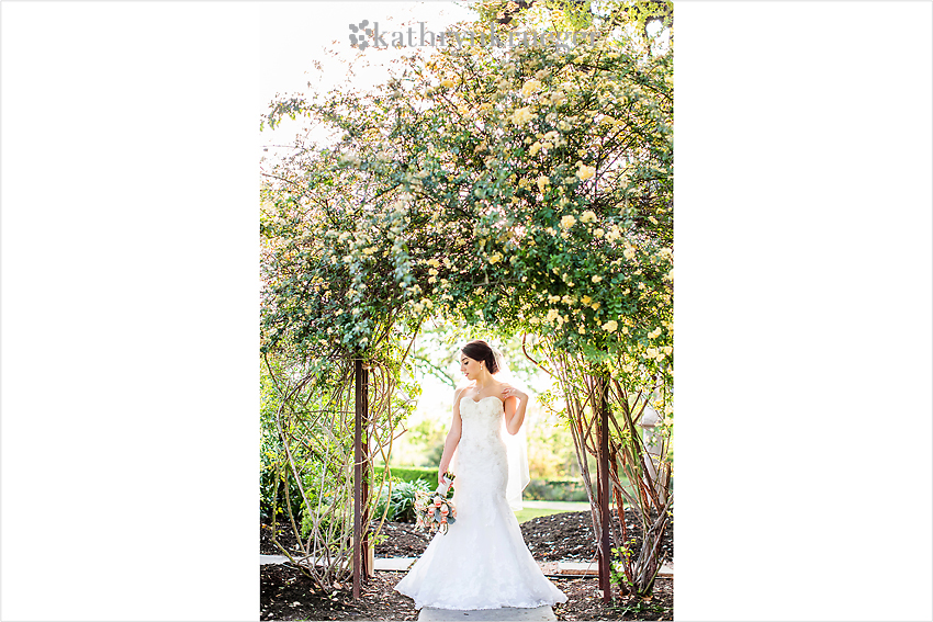 Bridal portrait standing under rose archway.